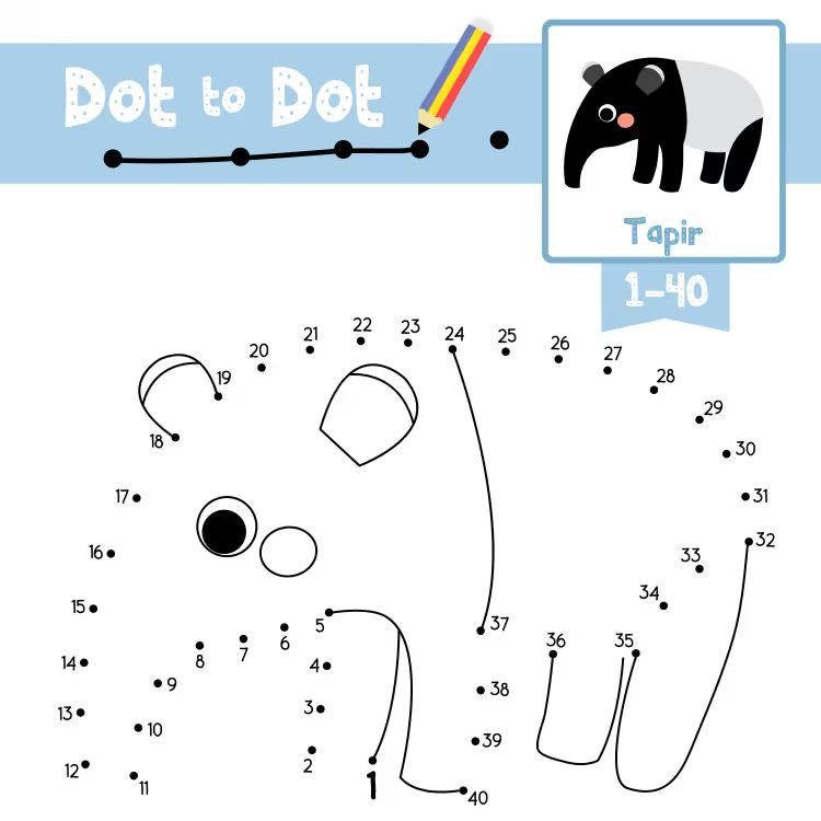 Çizgi Çalışmaları