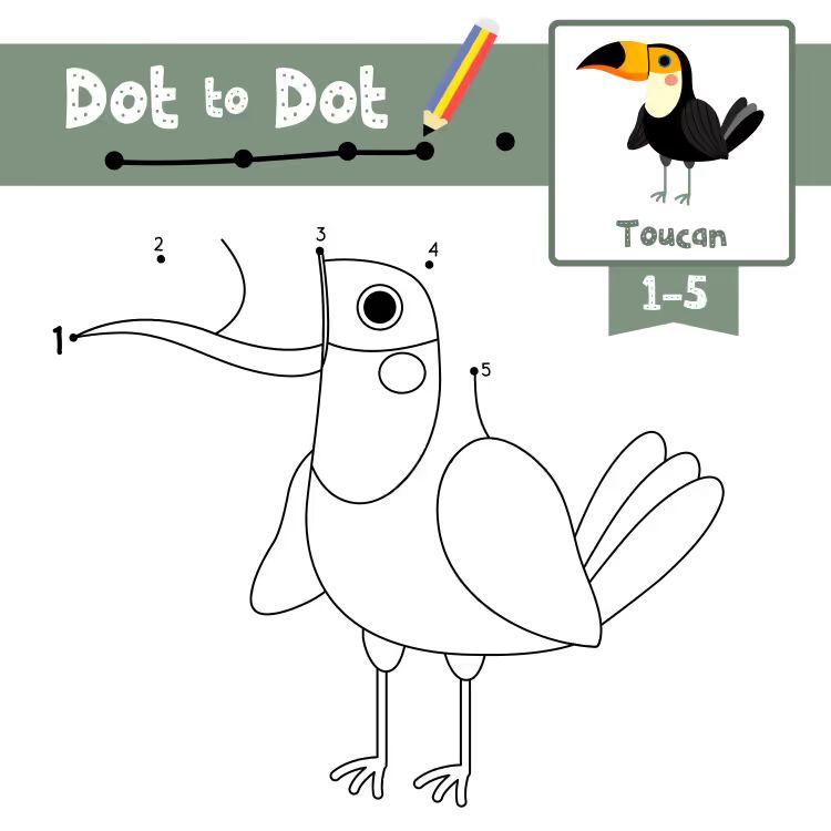 Çizgi Çalışmaları