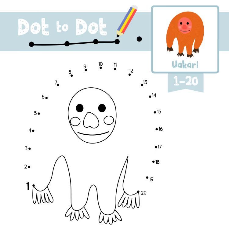 Çizgi Çalışmaları