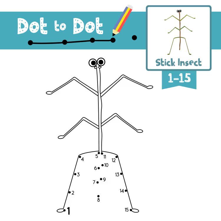 Çizgi Çalışmaları