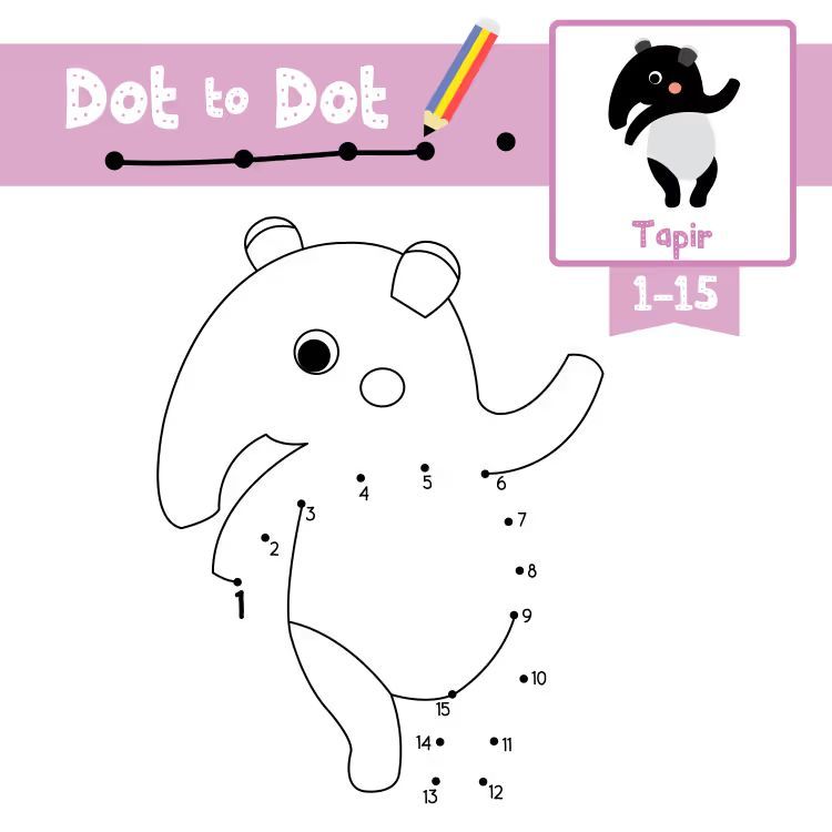 Çizgi Çalışmaları