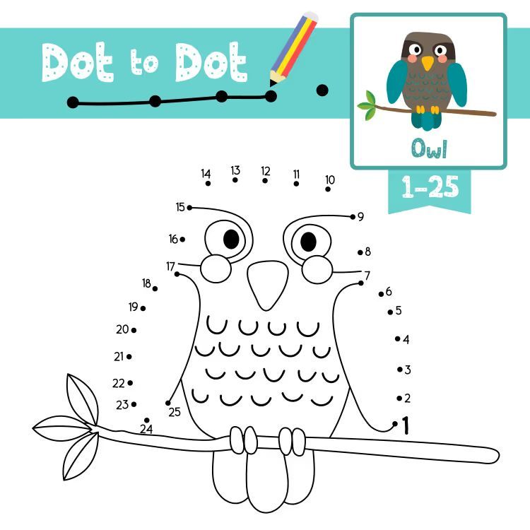 Çizgi Çalışmaları