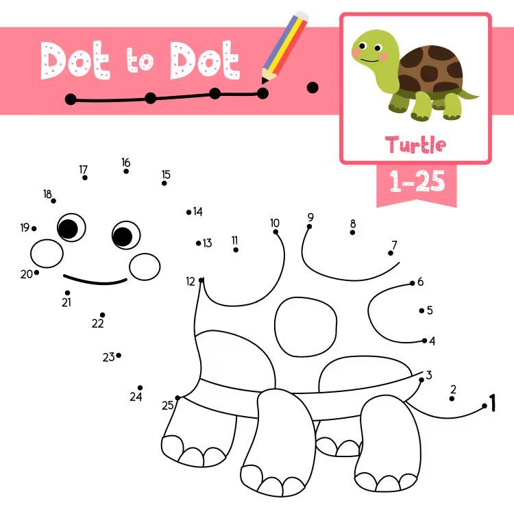 Çizgi Çalışmaları