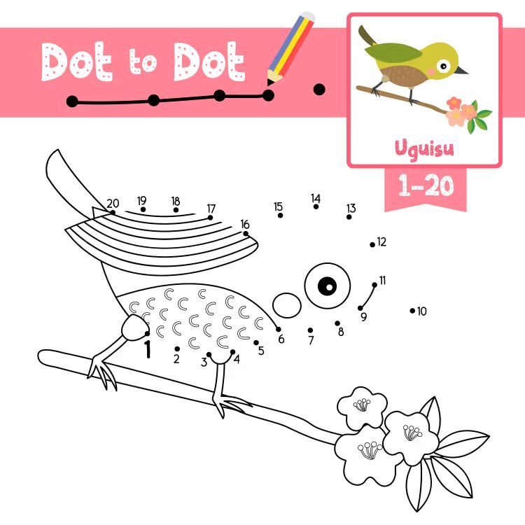 Çizgi Çalışmaları