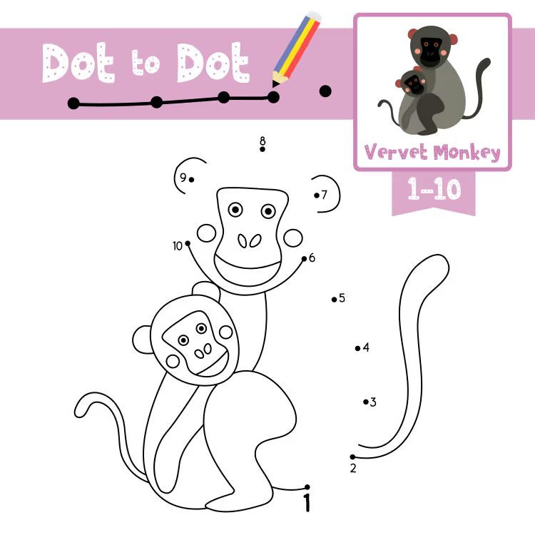 Çizgi Çalışmaları