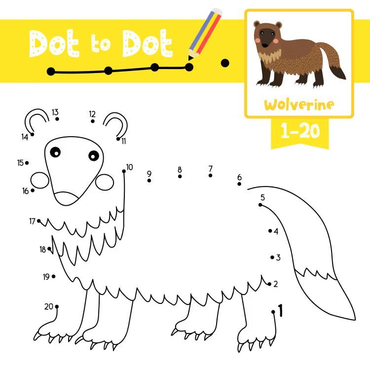 Çizgi Çalışmaları