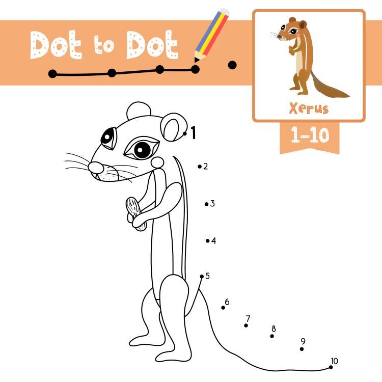 Çizgi Çalışmaları