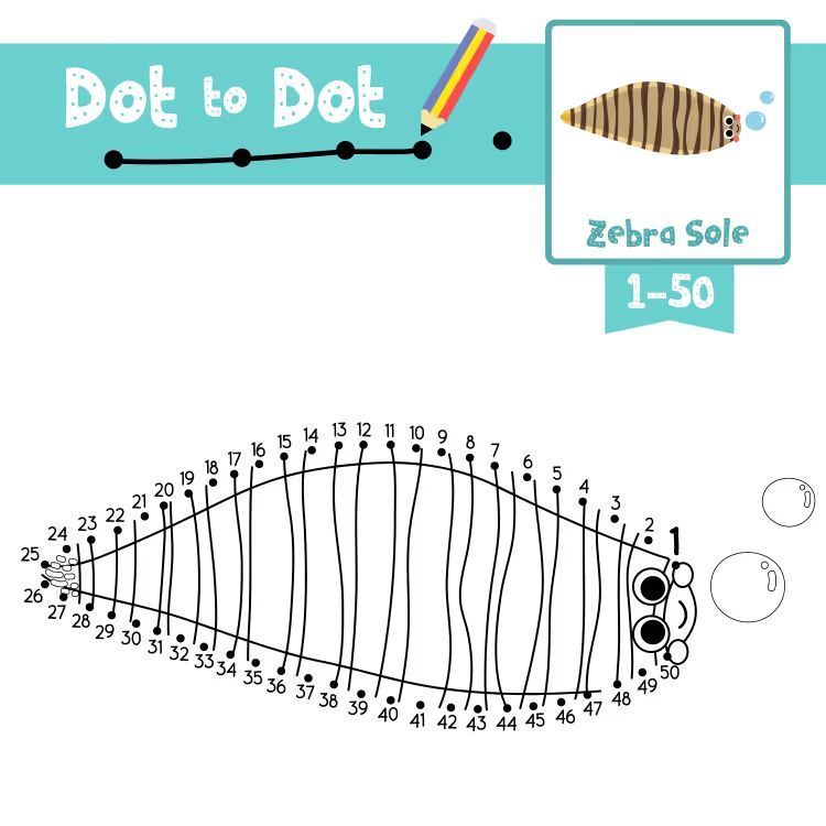 Çizgi Çalışmaları