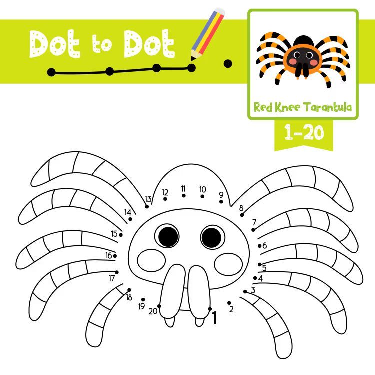 Çizgi Çalışmaları