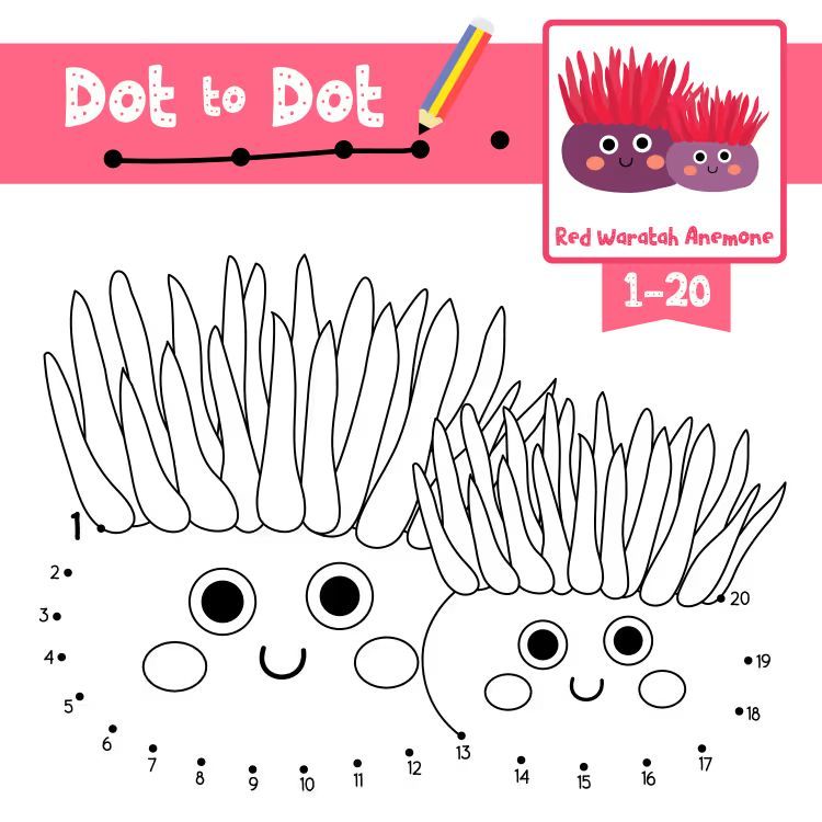 Çizgi Çalışmaları