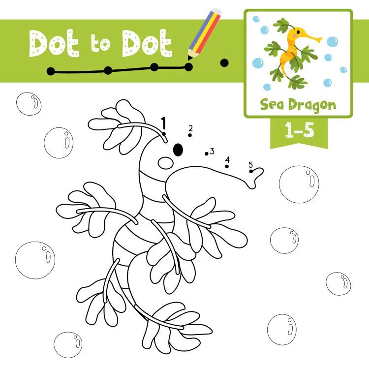 Çizgi Çalışmaları