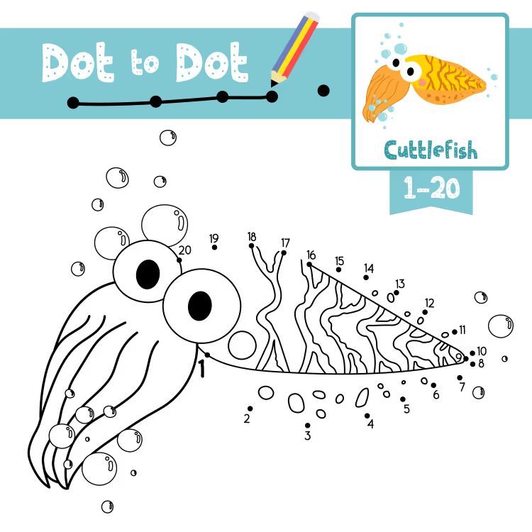 Çizgi Çalışmaları