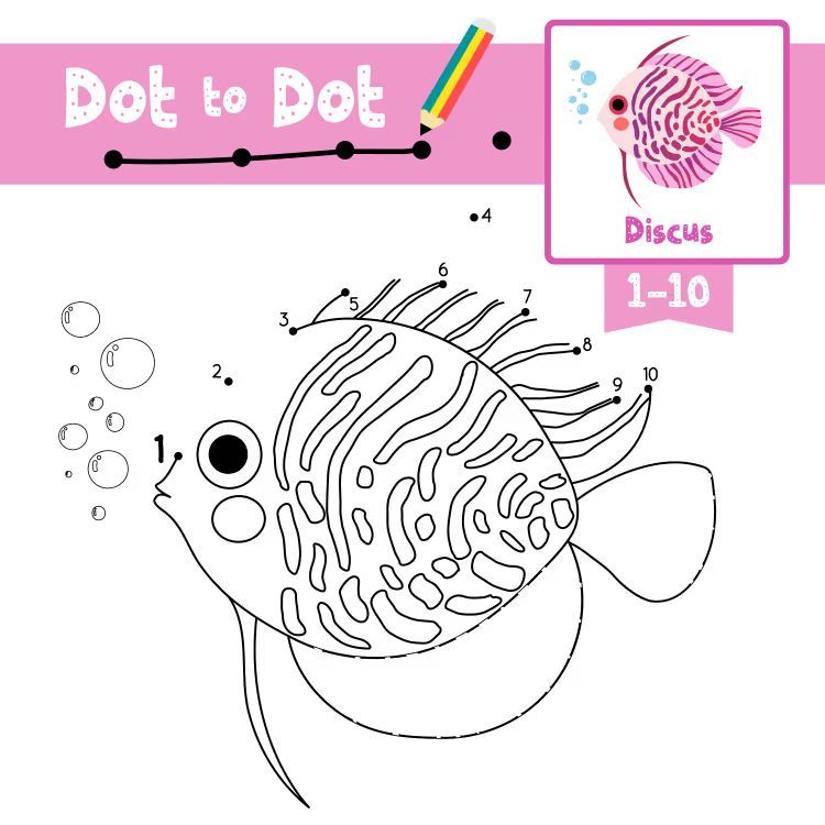 Çizgi Çalışmaları