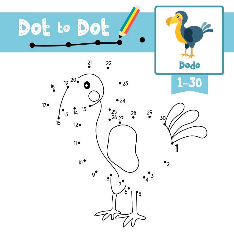 Çizgi Çalışmaları