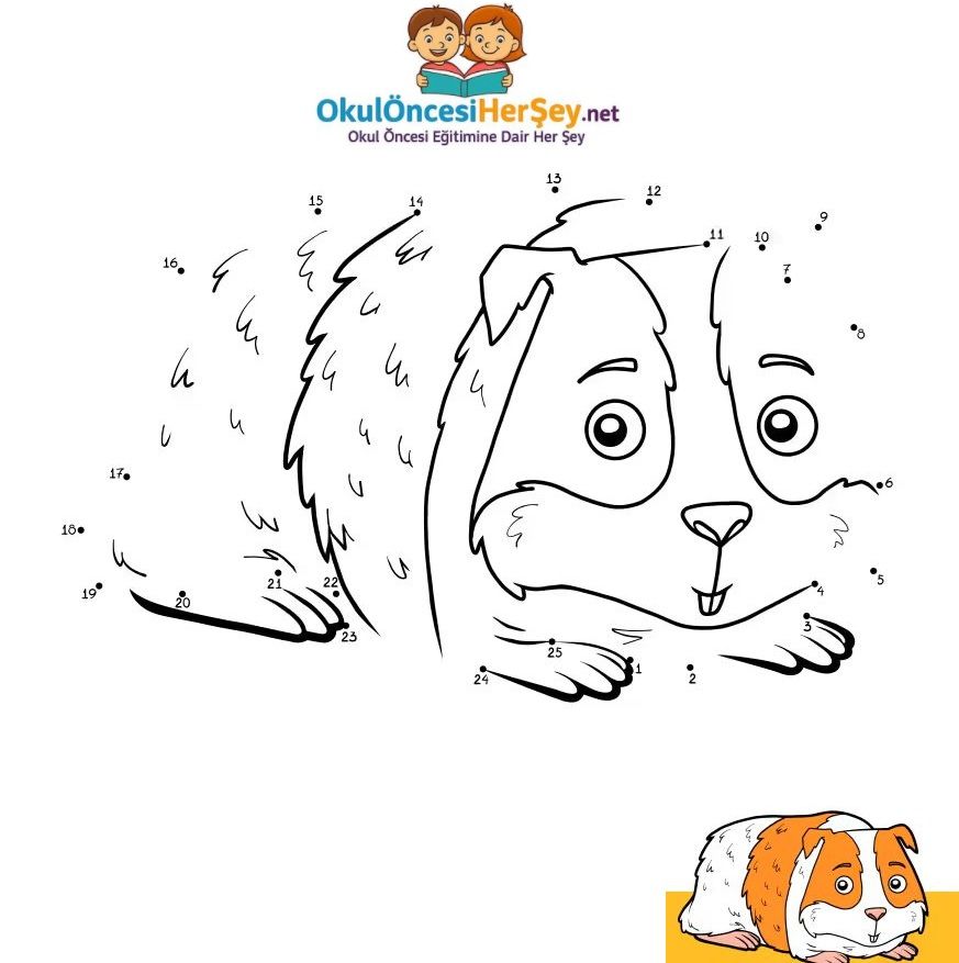 Çizgi Çalışmaları