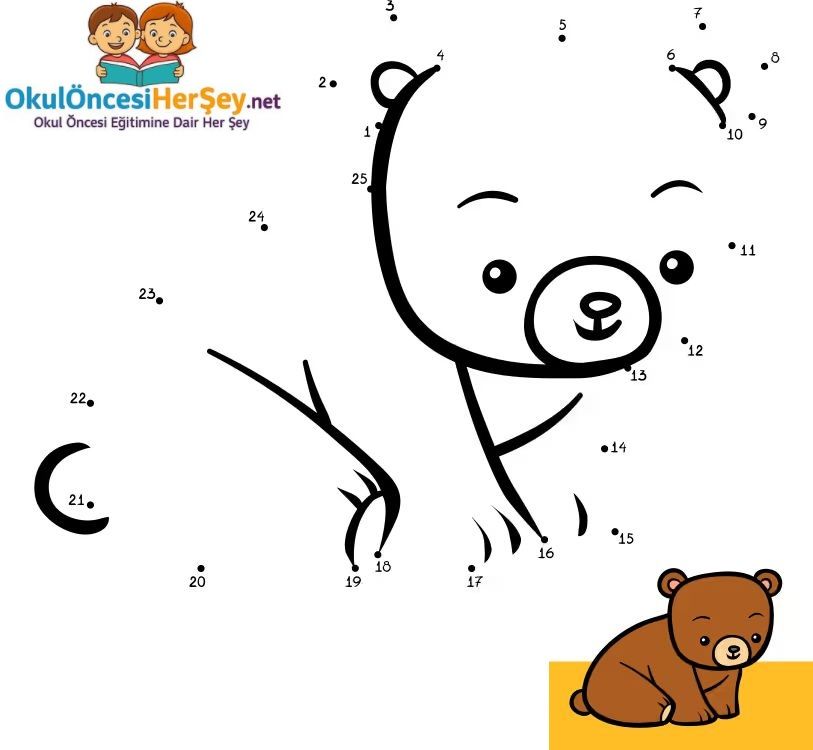 Çizgi Çalışmaları