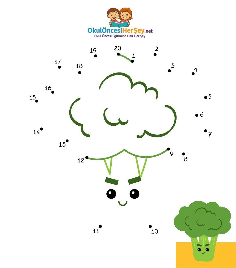 Çizgi Çalışmaları