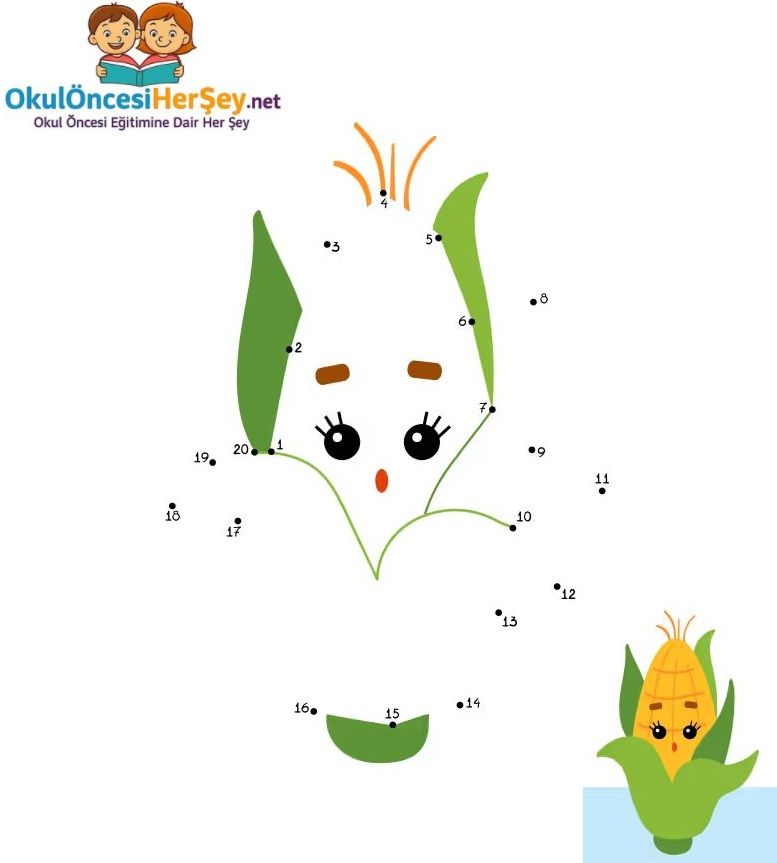 Çizgi Çalışmaları