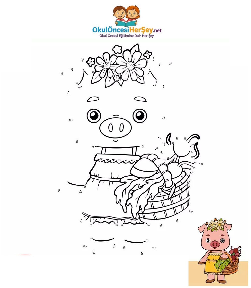 Çizgi Çalışmaları