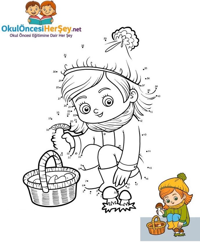 Çizgi Çalışmaları