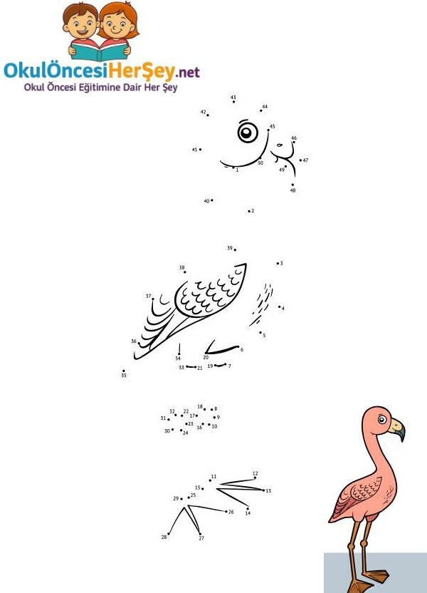 Çizgi Çalışmaları