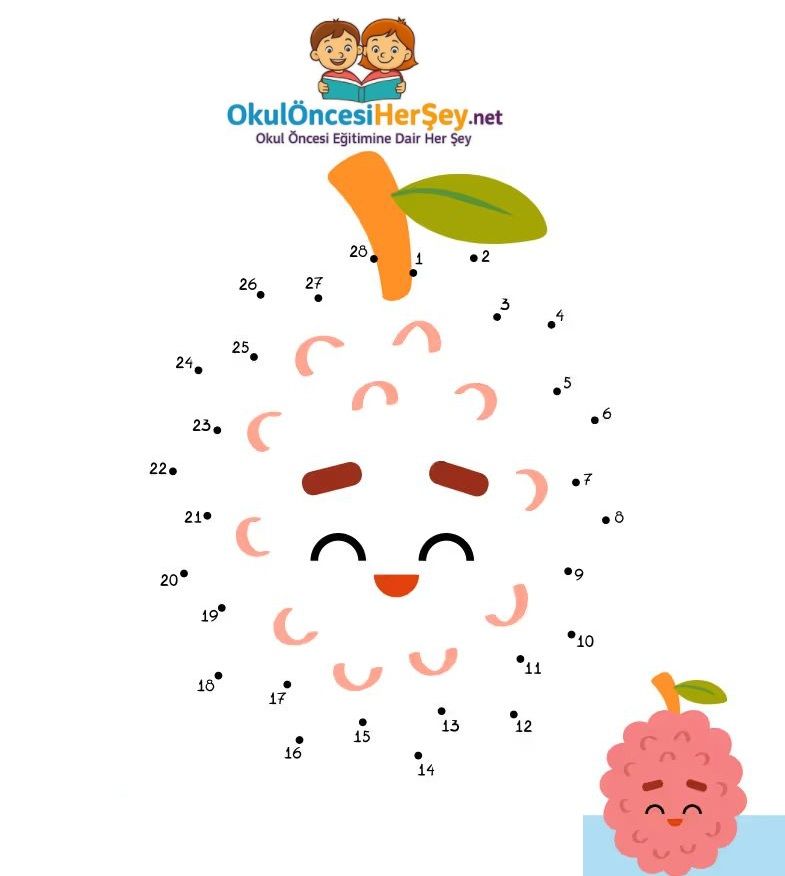 Çizgi Çalışmaları