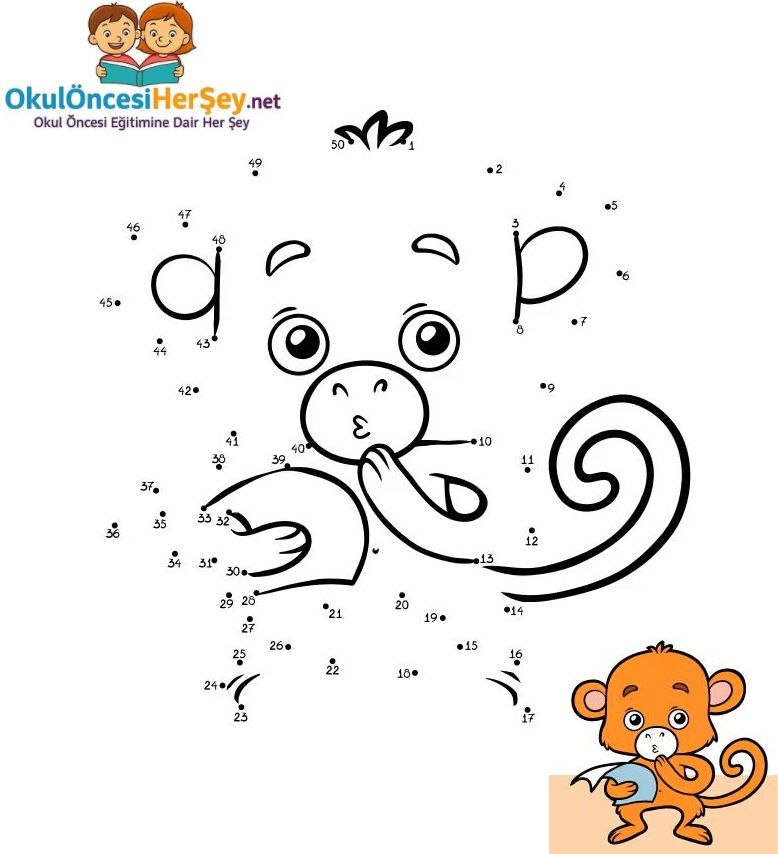 Çizgi Çalışmaları