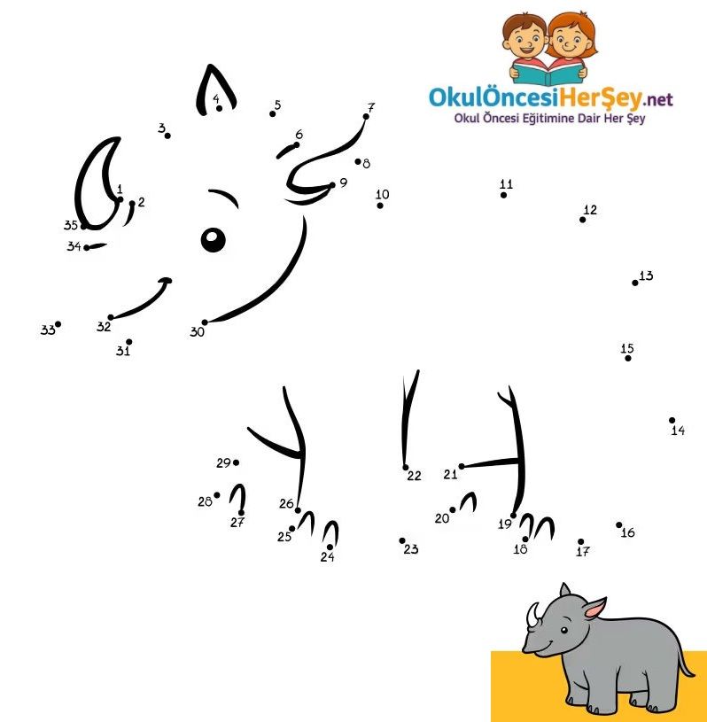 Çizgi Çalışmaları