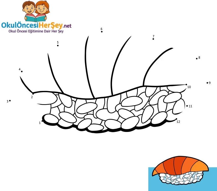 Çizgi Çalışmaları