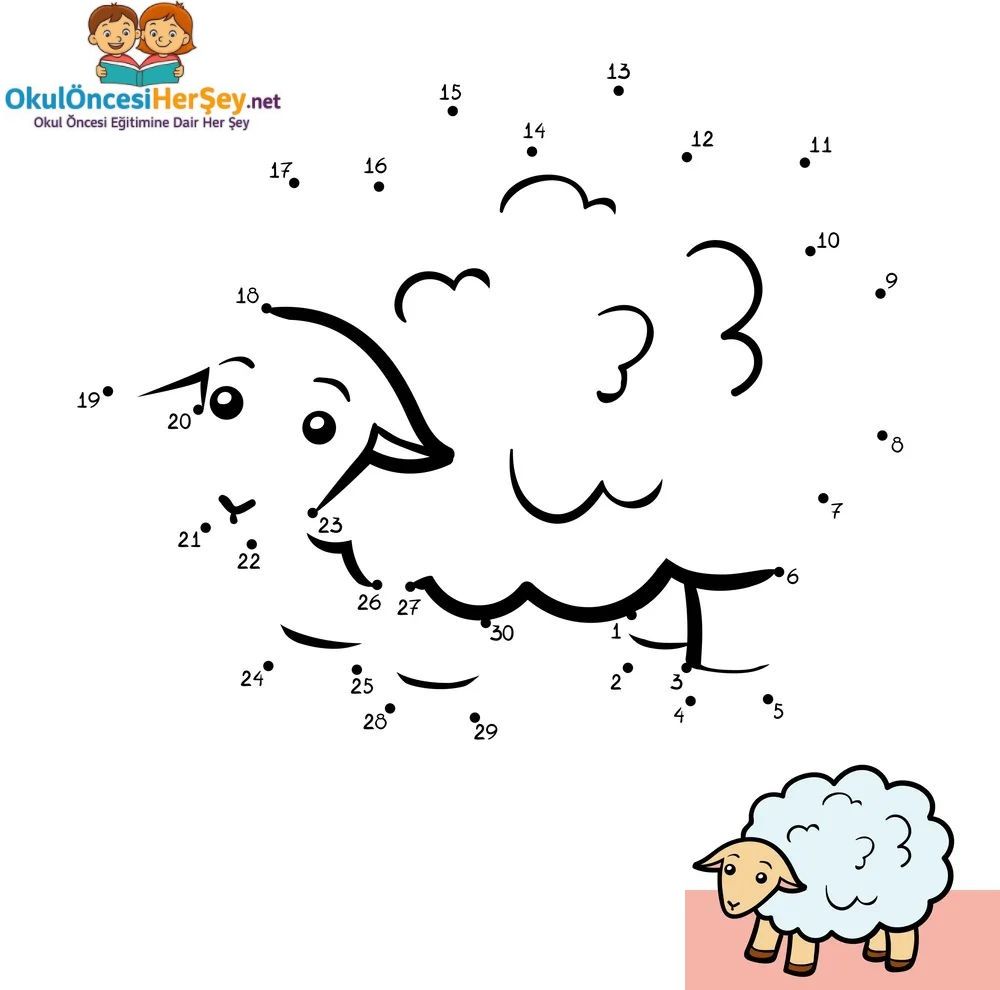 Çizgi Çalışmaları