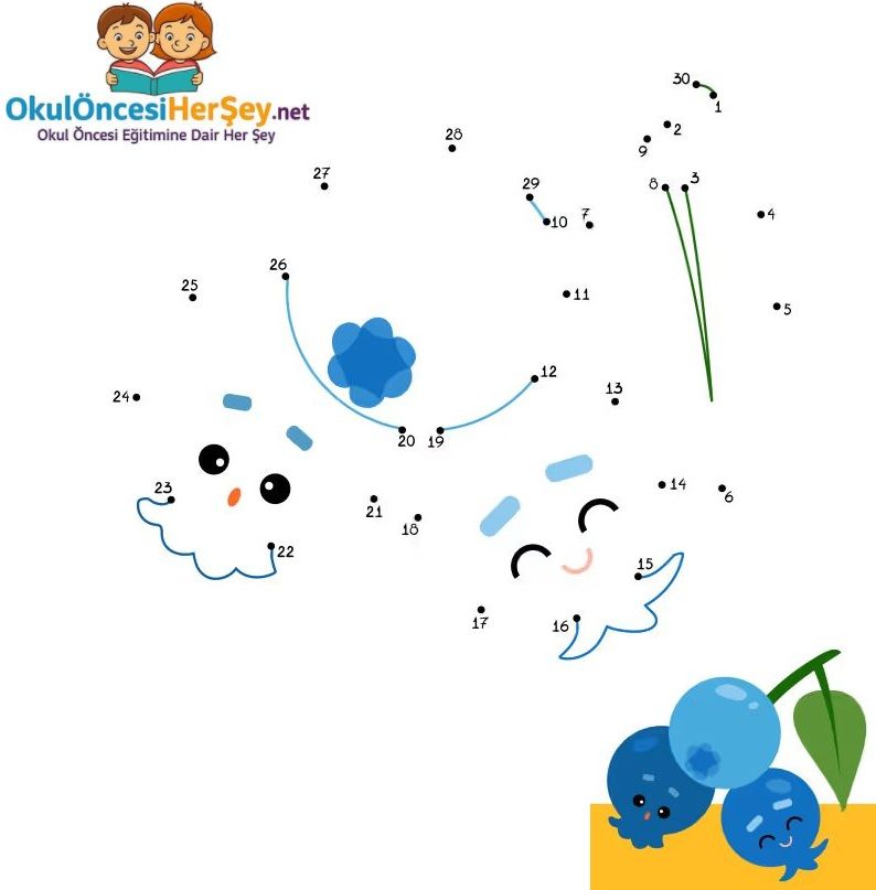 Çizgi Çalışmaları