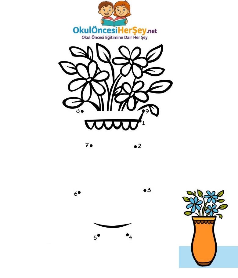 Çizgi Çalışmaları