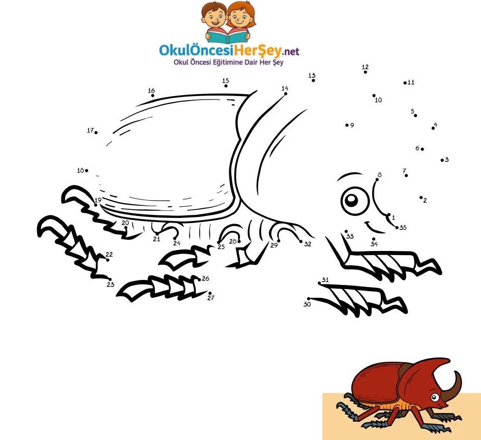 Çizgi Çalışmaları