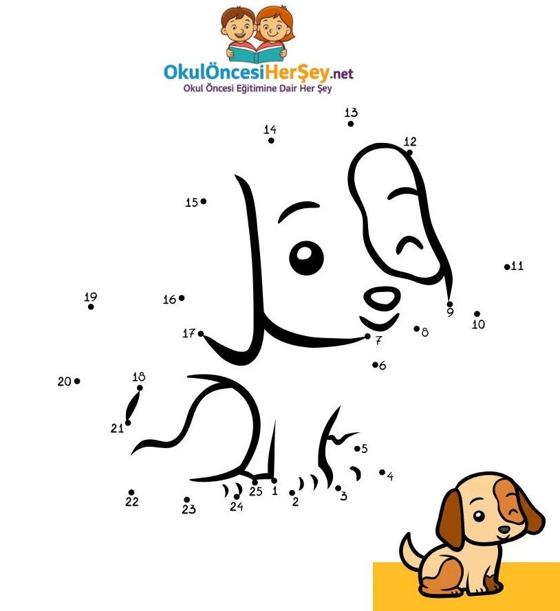 Çizgi Çalışmaları