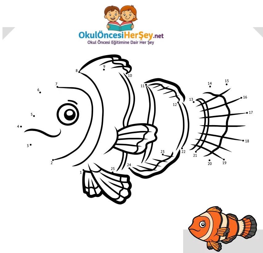 Çizgi Çalışmaları