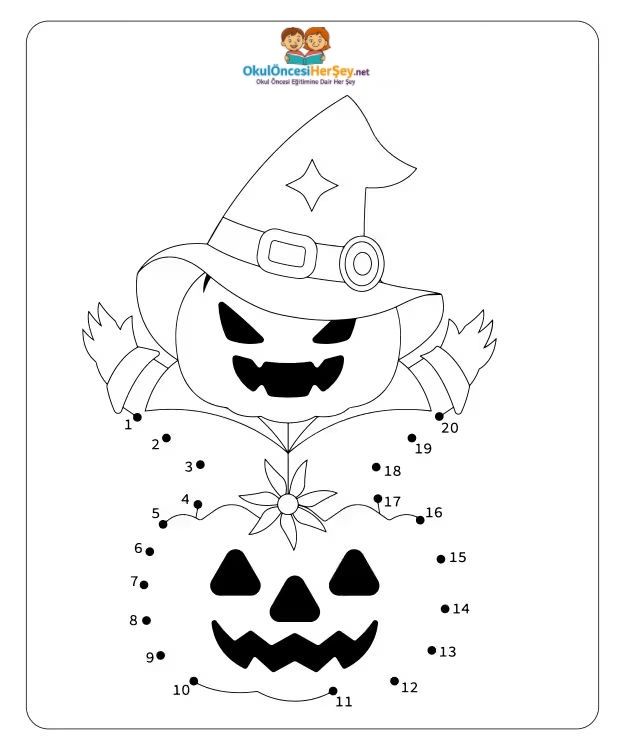 Çizgi Çalışmaları