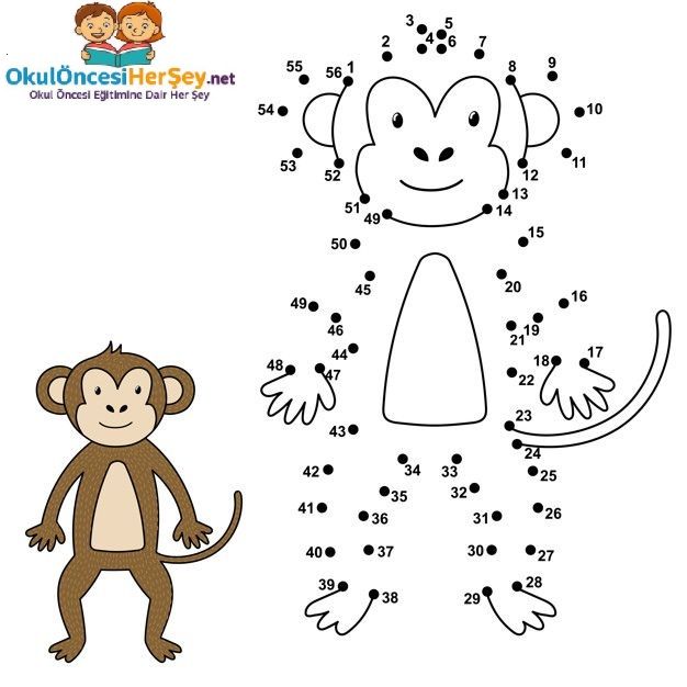 Çizgi Çalışmaları