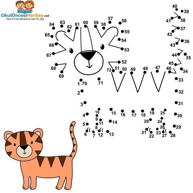 Çizgi Çalışmaları