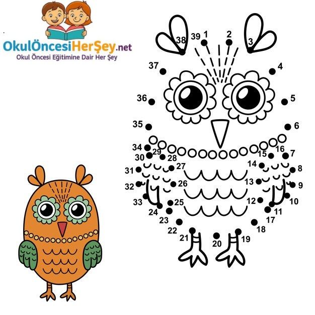 Çizgi Çalışmaları