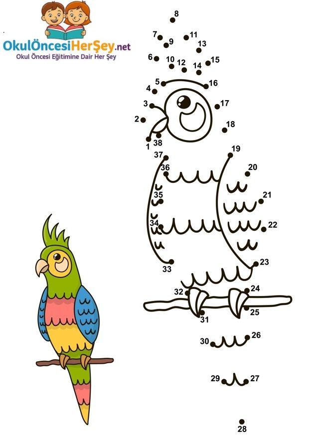 Çizgi Çalışmaları