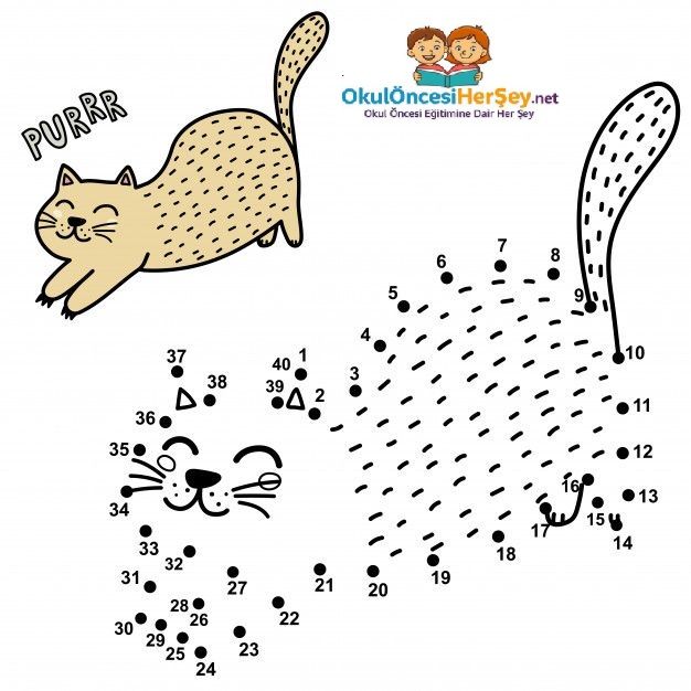 Çizgi Çalışmaları