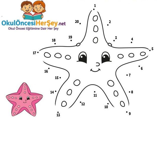 Çizgi Çalışmaları