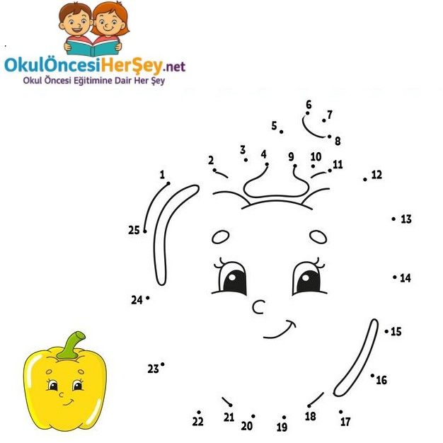 Çizgi Çalışmaları