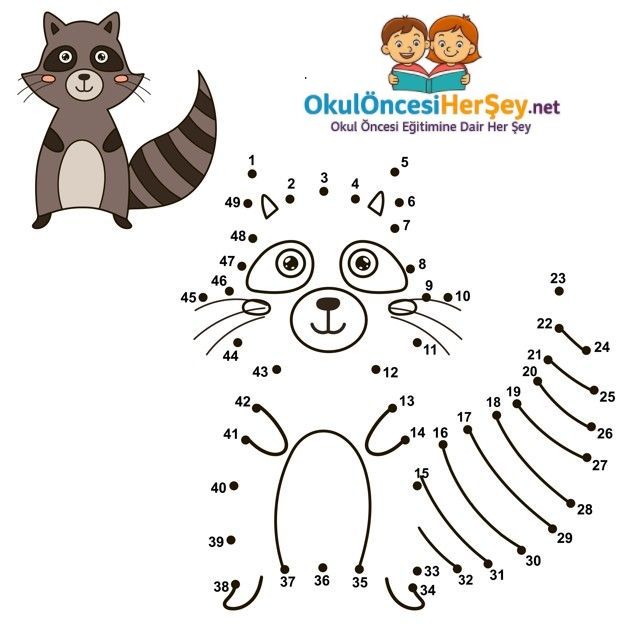 Çizgi Çalışmaları