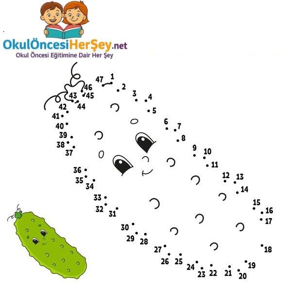 Çizgi Çalışmaları