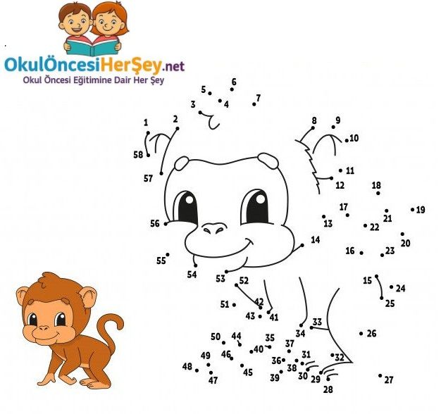 Çizgi Çalışmaları