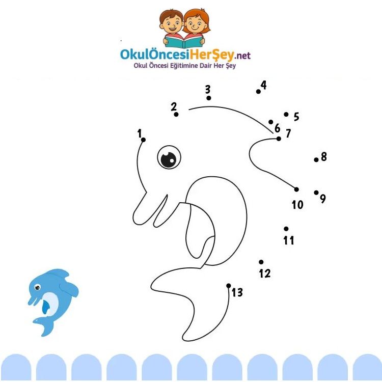 Çizgi Çalışmaları