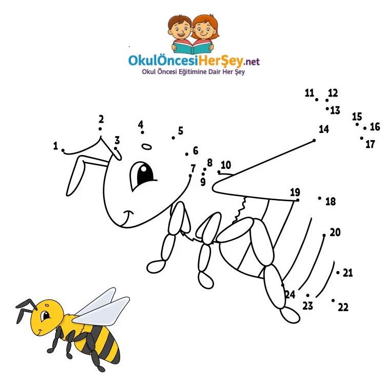 Çizgi Çalışmaları