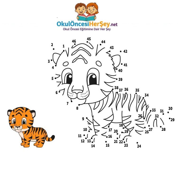 Çizgi Çalışmaları