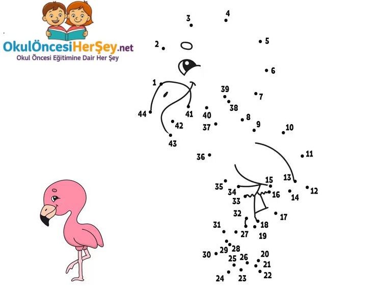 Çizgi Çalışmaları